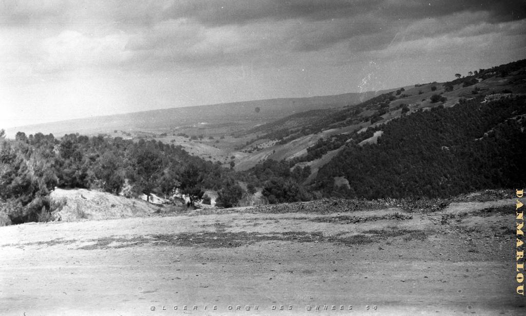 ALGERIE DE 1930 UN PAYSAGE.JPG